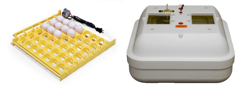 Egg Turner