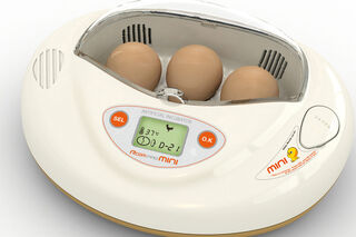 Rcom Mini Incubator  $285NZ