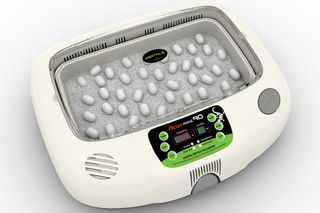 REPTILE INCUBATOR - R-COM Juragon Reptile Incubator $675NZ
